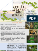 Natural Vegetation and Wildlife Resources-Compressed