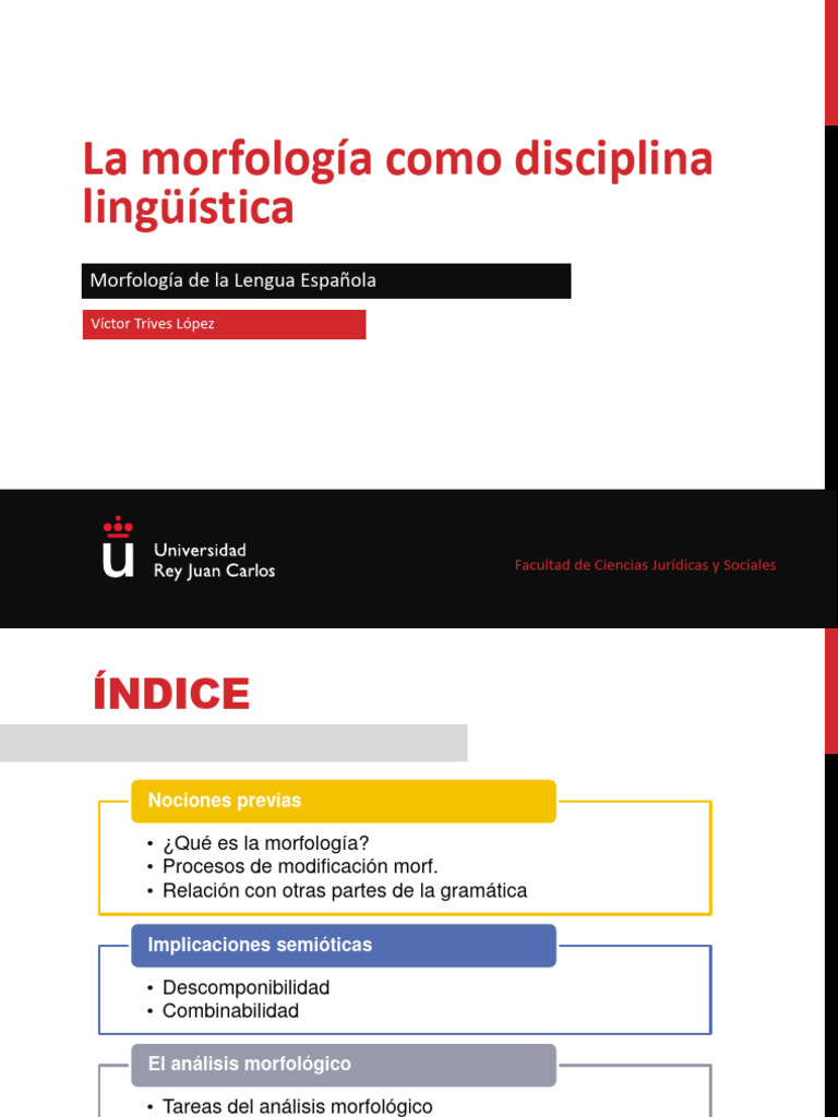 Tema 1 La Morfología Como Disciplina Lingüística PDF Palabra