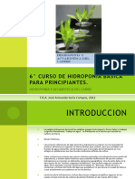 Curso Hidroponía Basica