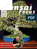 Bonsai Focus - September October 2020_downmagaz.net