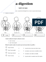 Fiche Élève Annexe La Digestion