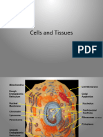 LP1 - Cells - Tissues