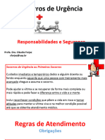 4. Responsabilidades e Segurança