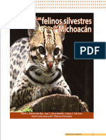 Los Felinos Silvestres de Michoacan Mexi