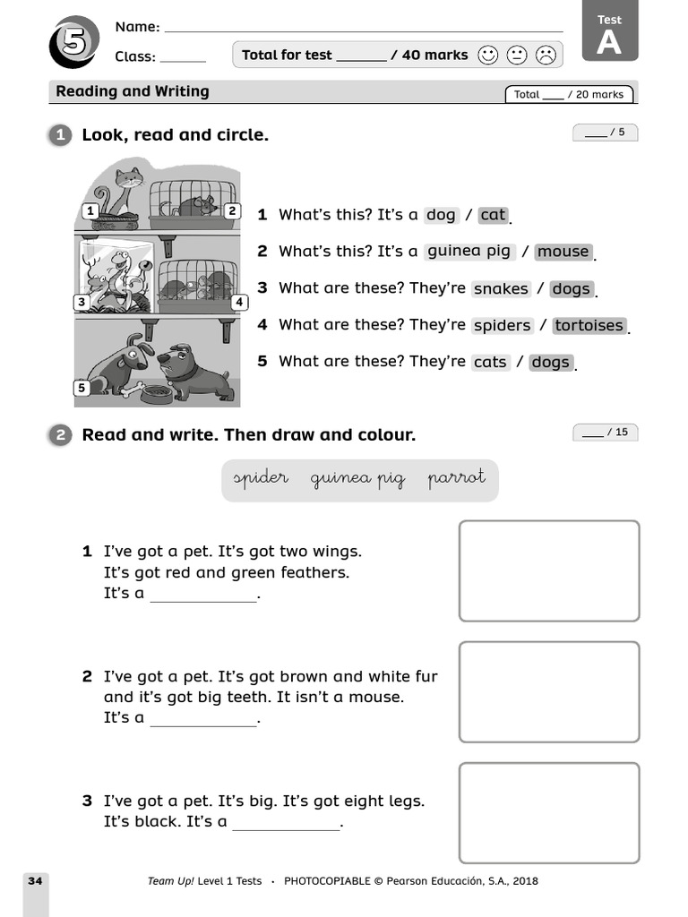Level 1 Pet Vocabulary Test | PDF