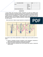 Exercício 02