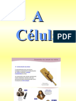 Célula