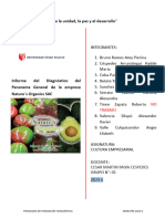 Formato Informe Diagnóstico General de La Empresa, Grupo 01