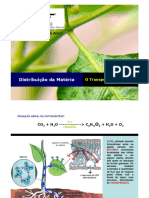 Transporte Plantas PDF