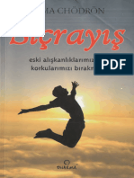 Sıçrayış - Pema Chödrön