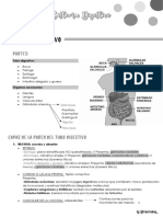 Aparato Digestivo