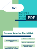 TEMA 1 - Números Naturales-Divisibilidad
