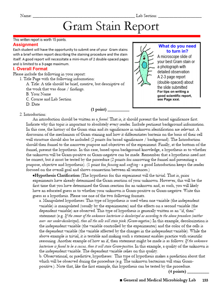 Spring 2019 GramStain Report PDF Hypothesis Experiment