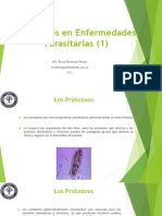 Enfermedades Protozoarias