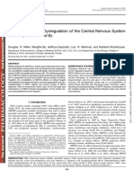 Methamphetamine Dysregulation of The Central Nervous System Ingles