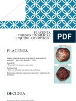 PLACENTA Obste