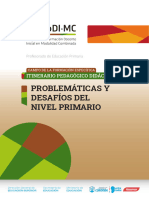 03 - Cfe-Problematicas y Desafíos Del N. P 4to Pep 2023 - v1