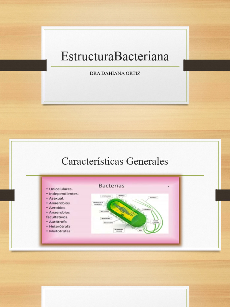 Estructura Bacteriana | PDF | Las bacterias | Biología Celular)