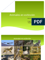Animales en Extinción