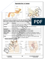 Reproduction in Human