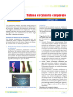 IV B - Removed Sistema Circulatorio Comparado