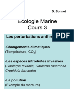 Cours 3 Comarine