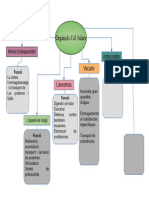 Mapa Mental Celula1)