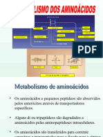 METABOLISMO DOS AMINOÁCIDOS 2018-1