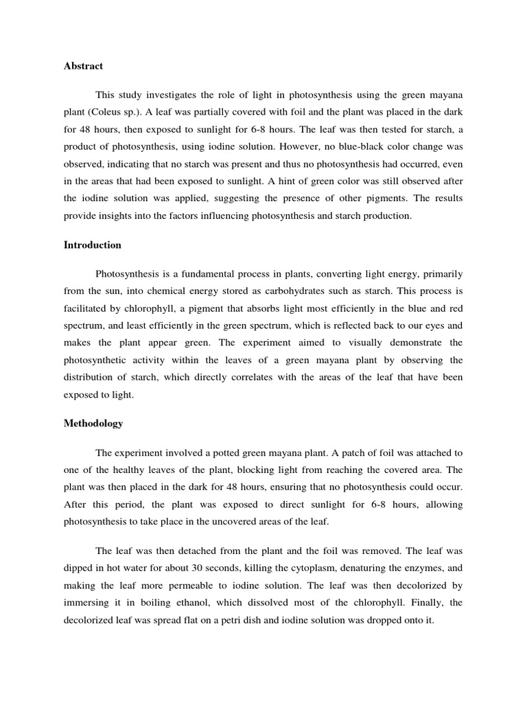 Experiment pdf photosynthesis leaf
