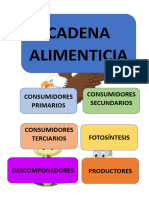 Cadena Alimentacia