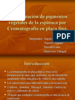 Cromatografía en Placa Fina Espinaca