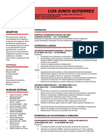 CV Formato