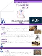 Inmovilizador - Clase 2 Traumato