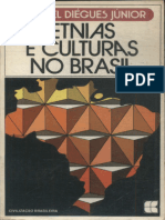 Etnias e Culturas No Brasil