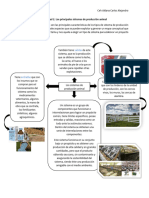 Actividad 2 Los Principales Sistemas de Produccion Animal