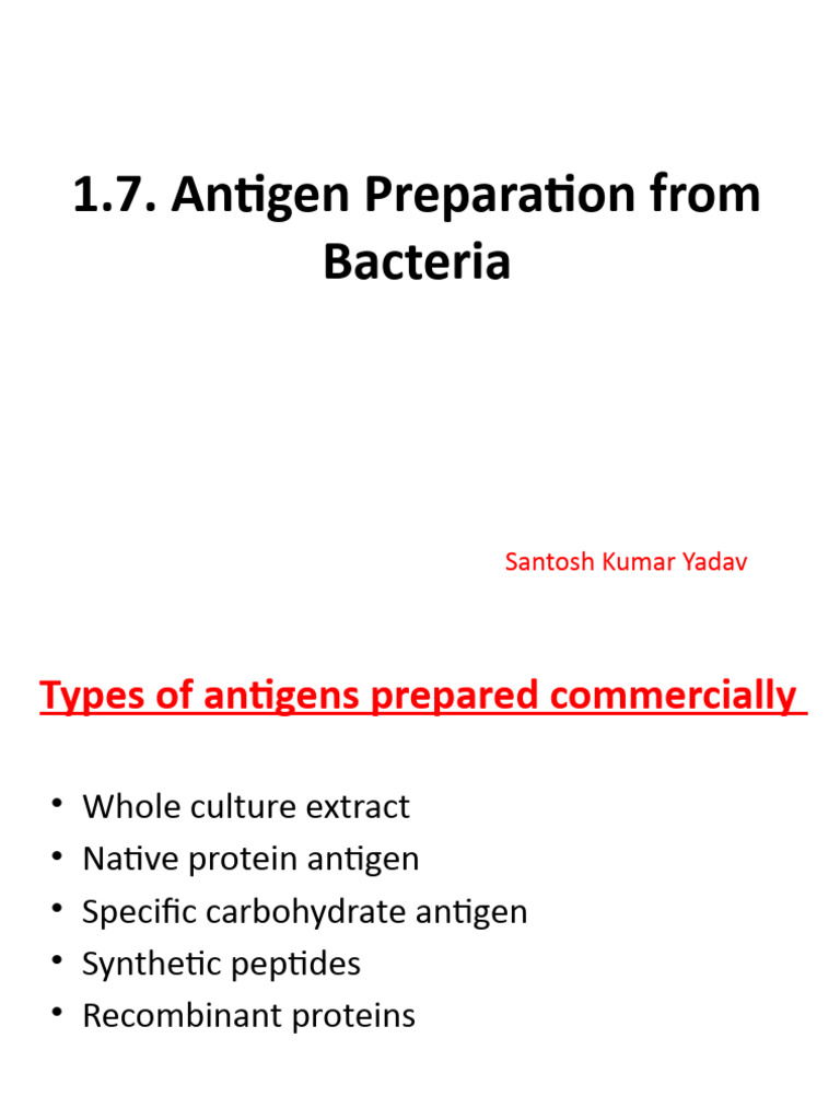 Antigen Preparation Form Bacteria PDF Protein Purification Growth