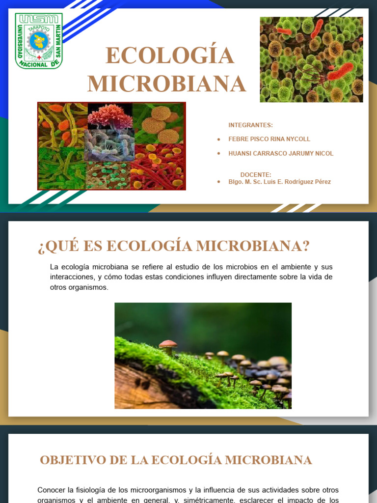 Importancia de la Ecología Microbiana | PDF | Ecología | Microorganismo