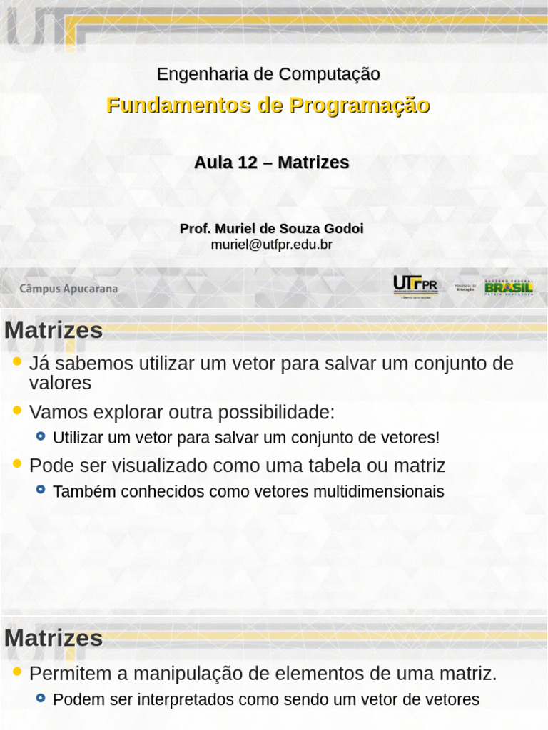 Aula 12 - Matrizes | PDF | Matriz (Matemática) | Dados de computador