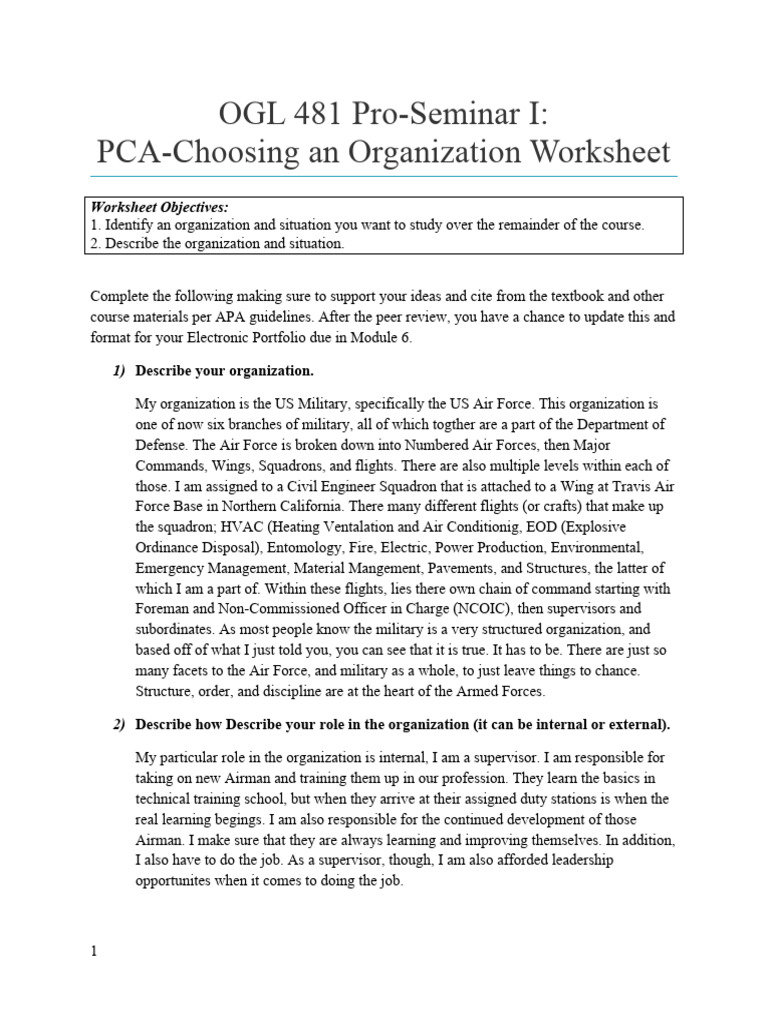 Choosing An Org Worksheet PDF