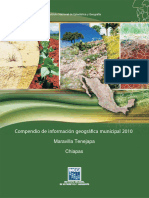 Compendio de Información Geográfica Municipal 2010: Maravilla Tenejapa Chiapas