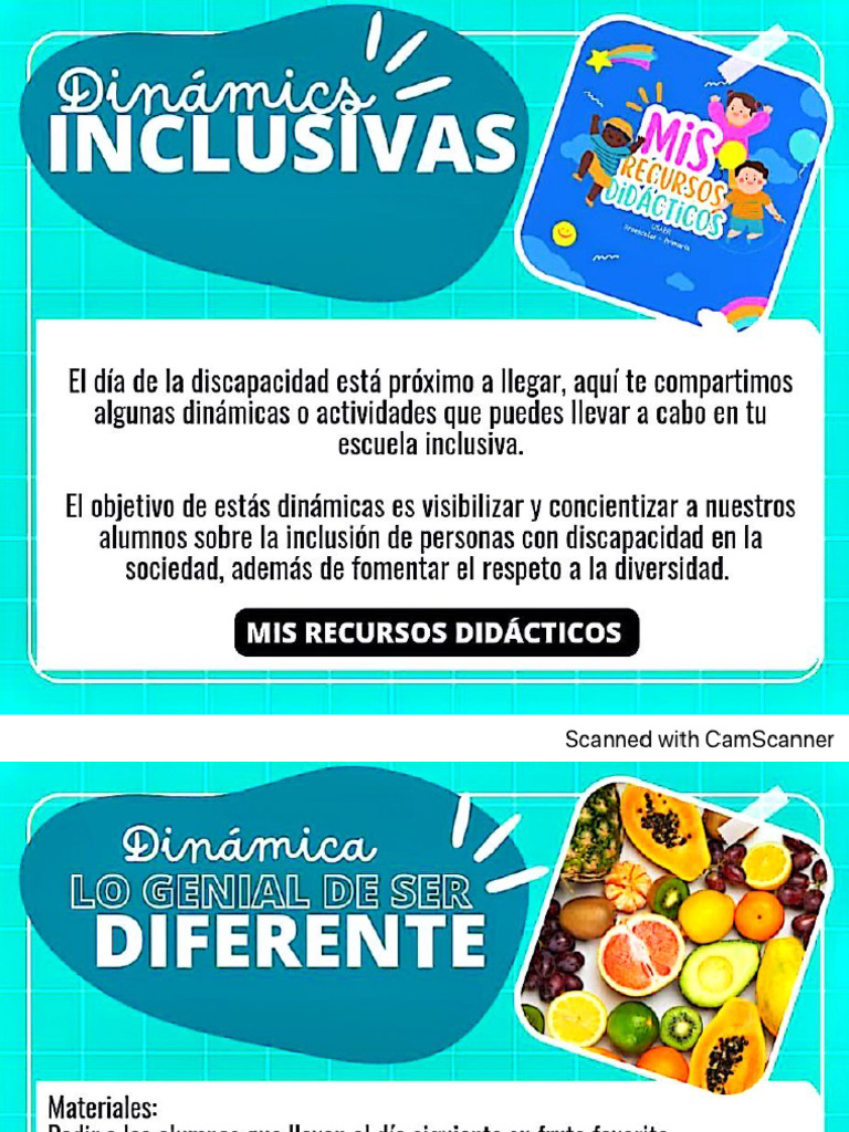 Dinámicas Inclusivas | PDF
