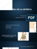 Anatomía de La Muñeca