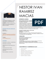 CV Nestor Ramirez