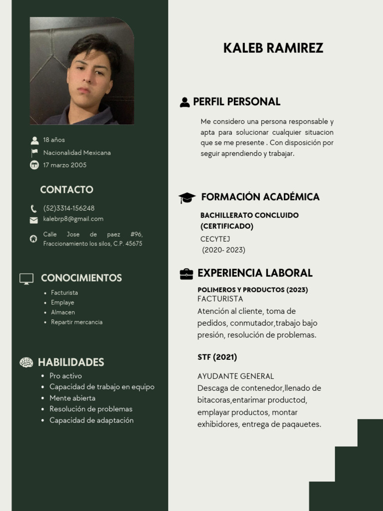 Perfil Profesional de Kaleb Ramírez | PDF