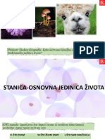 Stanica Osnovna Jedinica Života