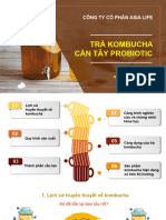 Kombucha TV