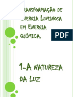 Transformação de Energia Luminosa em Energia Química