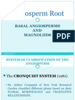 48068407-BOT-3-Basal-Angiosperms