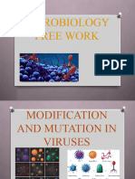 Modification and Mutation in Viruses