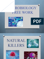 Micro Free Work 2 Natural Killers